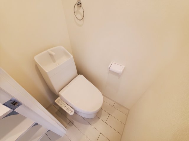 Ｍａｉｓｏｎ　ｄｅ　Ｇｉｎｚａ　Ｅａｓｔ401号室 トイレ