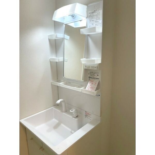 アンビシオン新田203号室 洗面