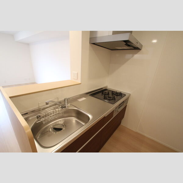 Riziere六町(リジエルロクチョウ)103号室 キッチン