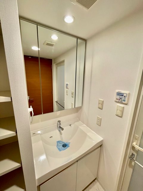 レジディア大井町Ⅱ9階 洗面