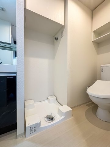 アジールコート東大井316号室 洗面