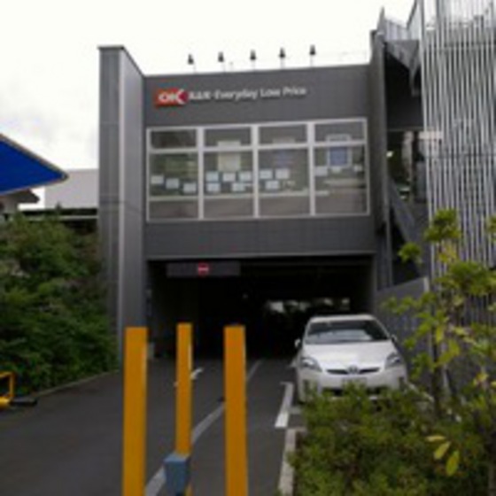 メゾン宮下0202号室 オーケー仲池上