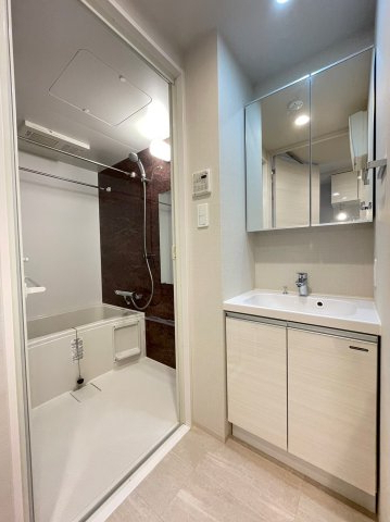 DIPS上板橋505号室 洗面