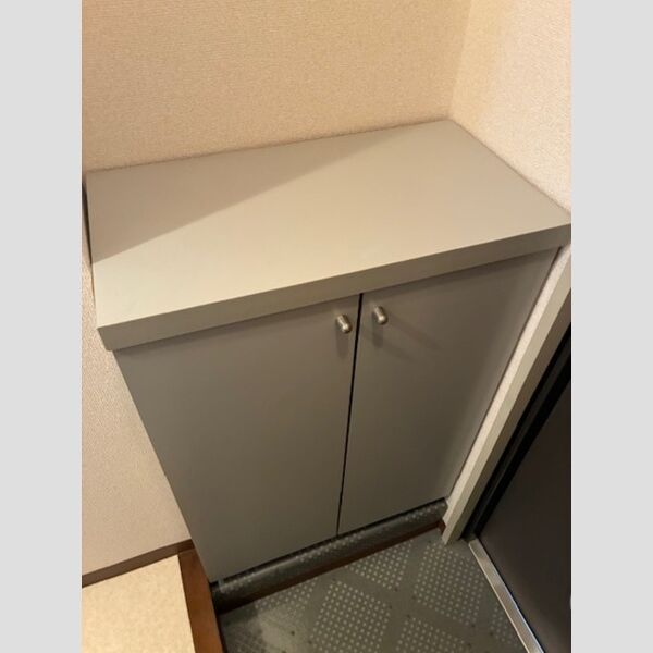 ハイムカメリア312号室 靴箱