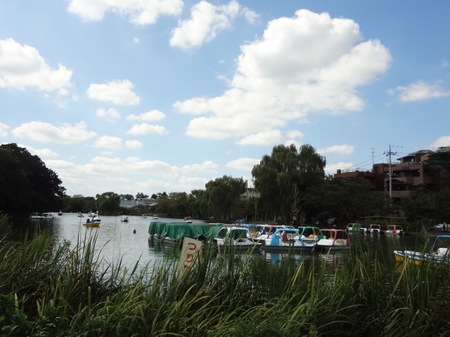 ＳＯＣＩＡ石神井 石神井公園まで500ｍ