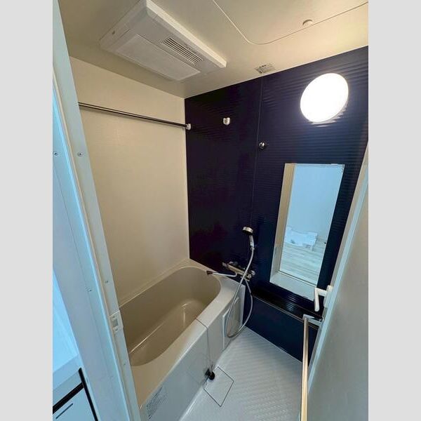 MAXIV武蔵新城TRE505号室 洗面