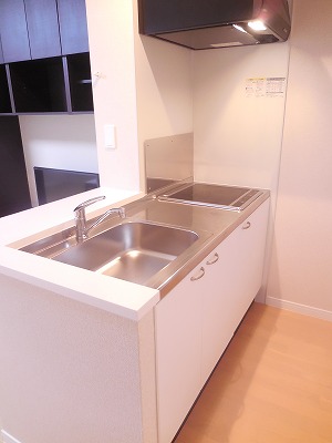 レオネクスト初 IHヒーターと電気コンロ付き