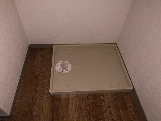 プラシード203号室 その他