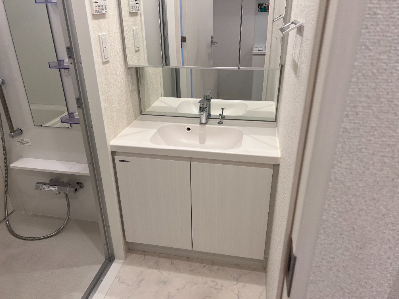 ドムス・スタイル高田馬場9階 洗面