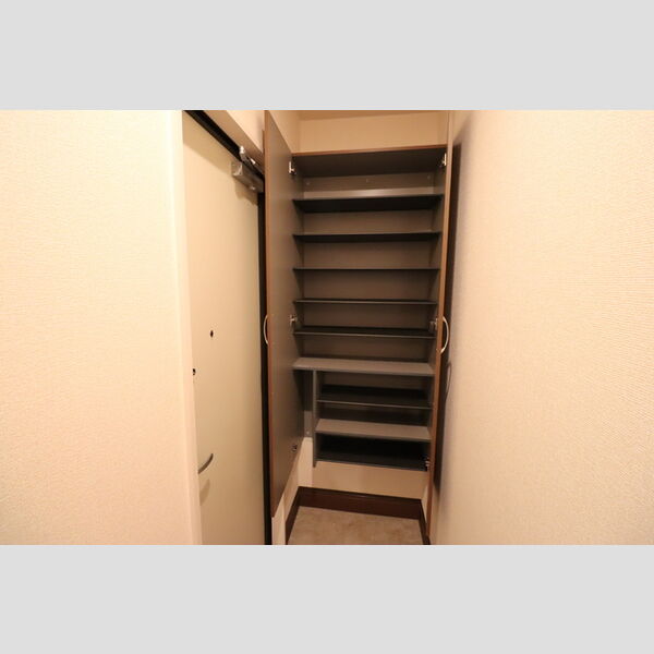 メゾンドアヴァンセ101号室 玄関　シューズボックス