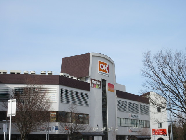 アムールふれあいの丘0701号室 【デパート】オーケー港北店まで290ｍ
