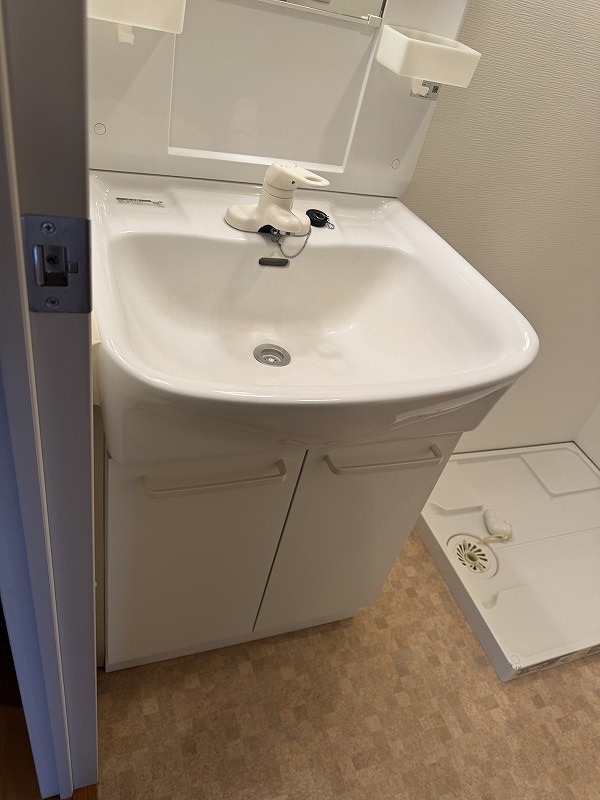 Ｄａｉｗａ　Ｔｅｒｒａｃｅ　府中3階 洗面