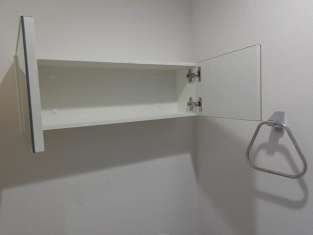 ヴィーナス（Venus）00103号室 トイレ収納