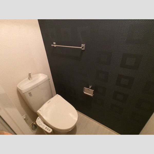 メゾン・レ・シエル202号室 トイレ