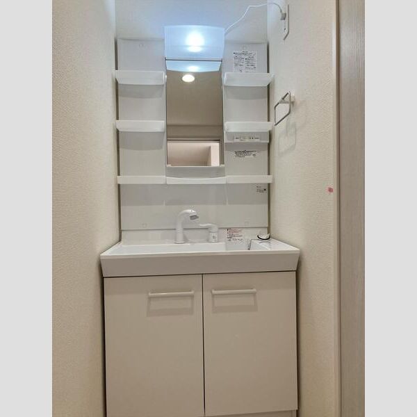 リーブルファイン柏高田2階 洗面