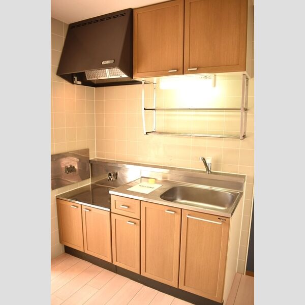 エントピアマルオカ202号室 キッチン
