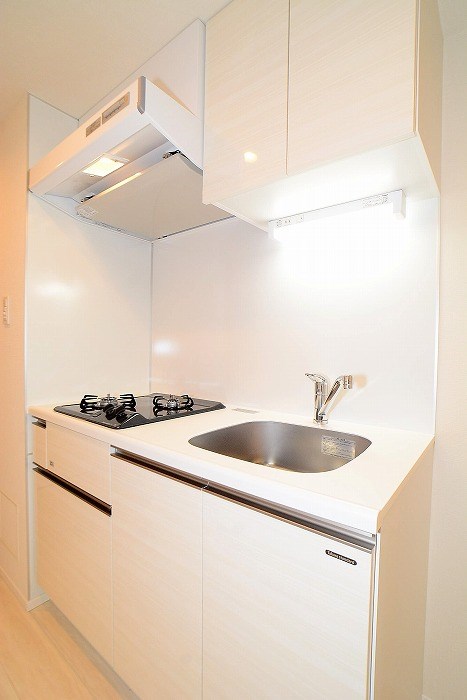 ステージグランデ秋葉原 ※カラータイプ異なります