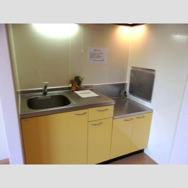 ローゼンハイム102号室 キッチン