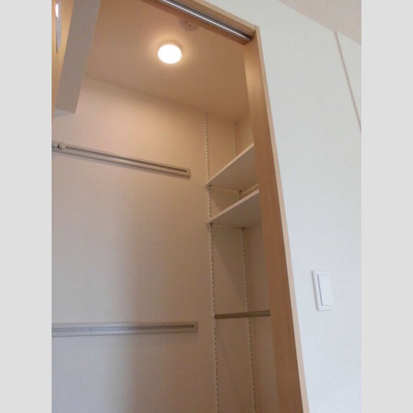 メルヴェーユ三郷中央　A ワンステップクローゼット(洋室)