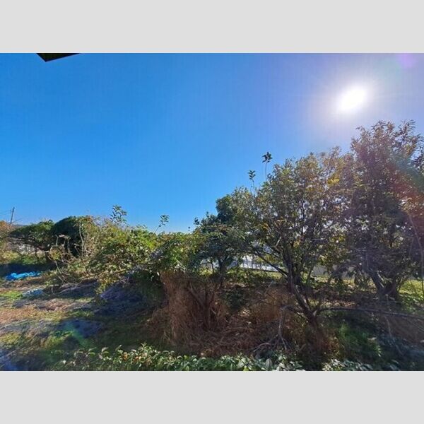 フリーデン・ハイム バルコニーからの眺望