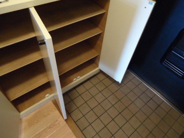 ドミールシャルマン105号室 靴箱