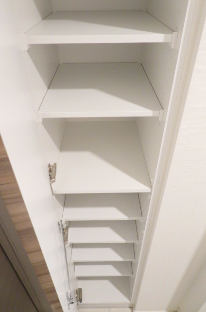 ガーラ・プレシャス赤坂見附303号室 シューズクローゼット