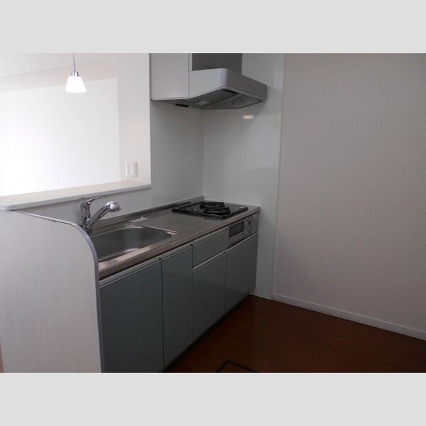 センターハウス　A棟103号室 システムキッチン