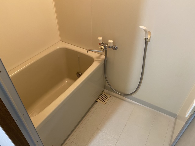 パレスグリーンヒル0505号室 お風呂