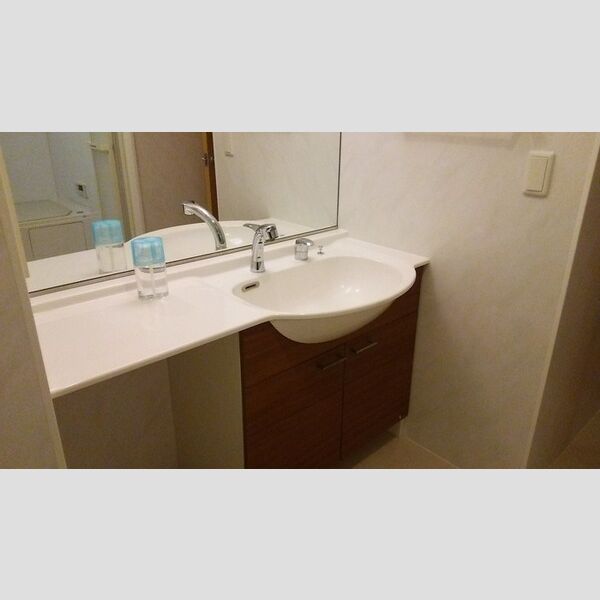 ベラヴィスタ蘇我103号室 洗面