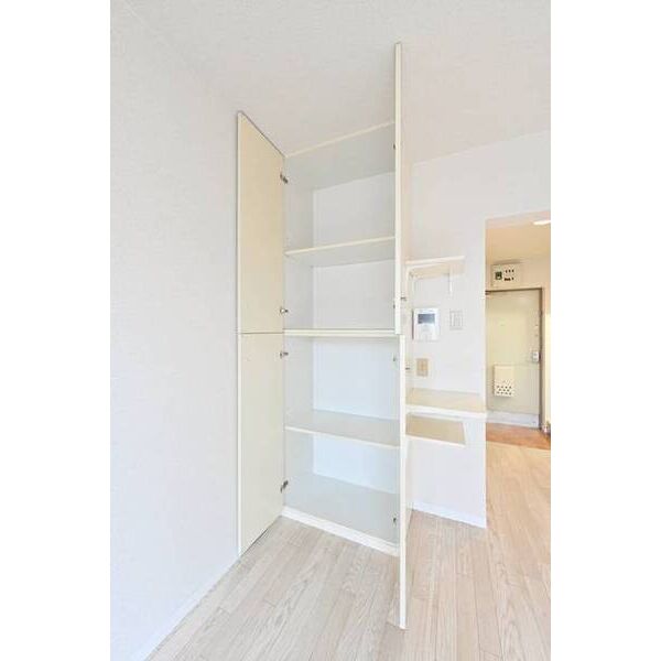 メゾン・ド・セヴェールNO.30305号室 収納