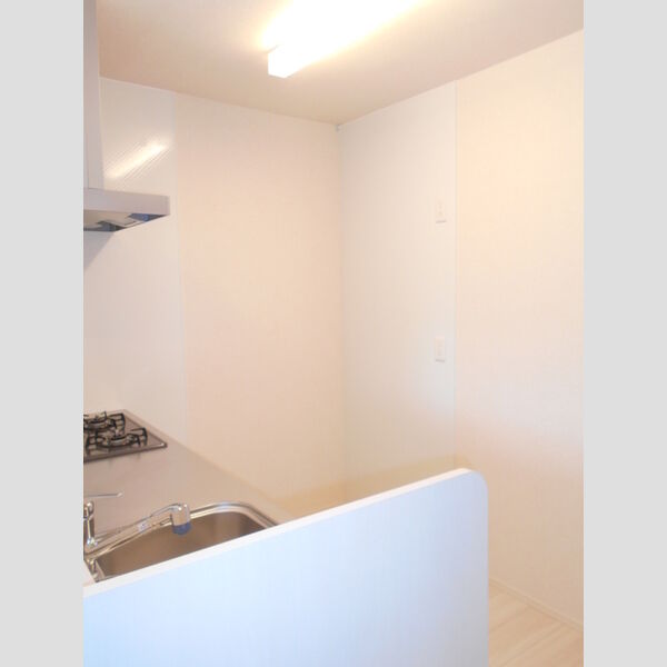 シャトレー・パイン201号室 部屋その他