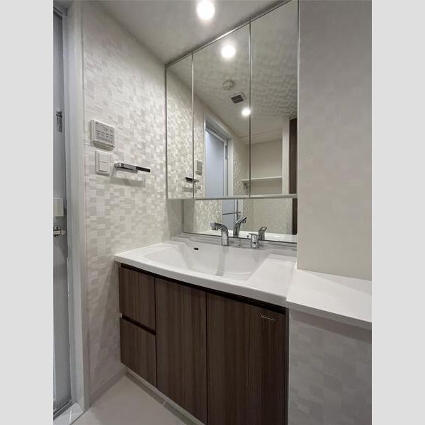 S-RESIDENCE両国serea502号室 洗面