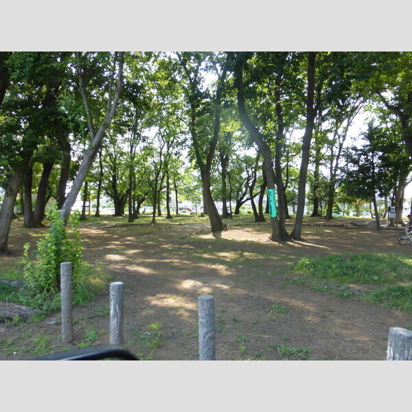 エスタシア風110号室 公園