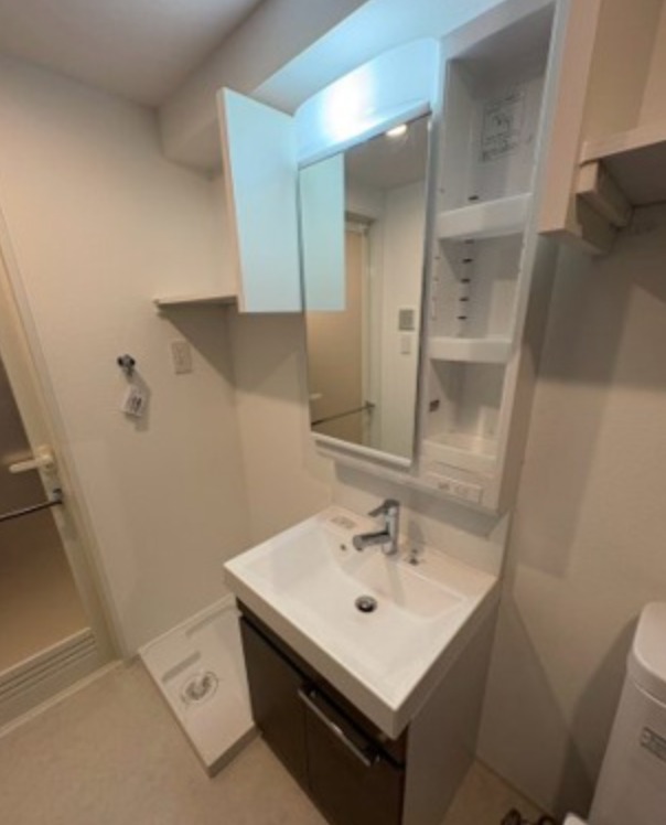 GENOVIA東向島Ⅳ3階 洗面