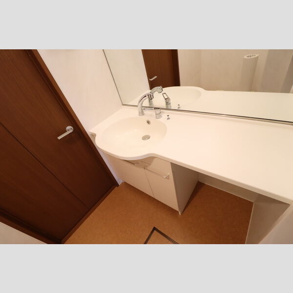 グリシーヌ 　フルール305号室 洗髪洗面化粧台