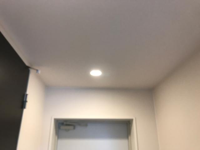 プリムローズ 照明