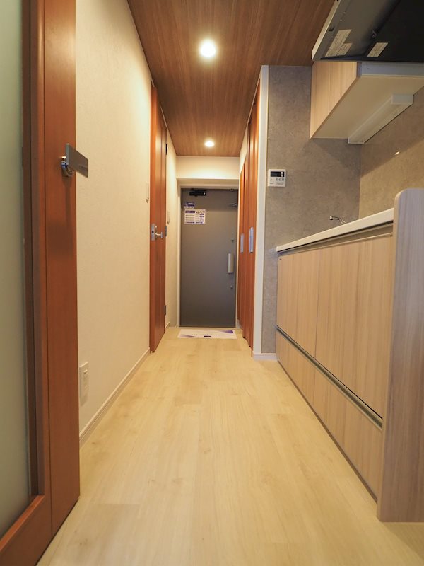 レジディア池袋3階 玄関