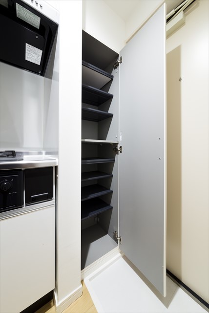 サクラパレス2階 玄関