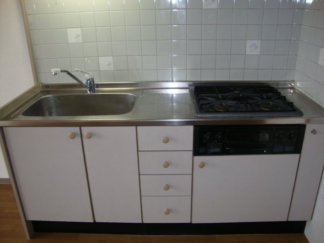 サザンフィールド301号室 システムキッチn