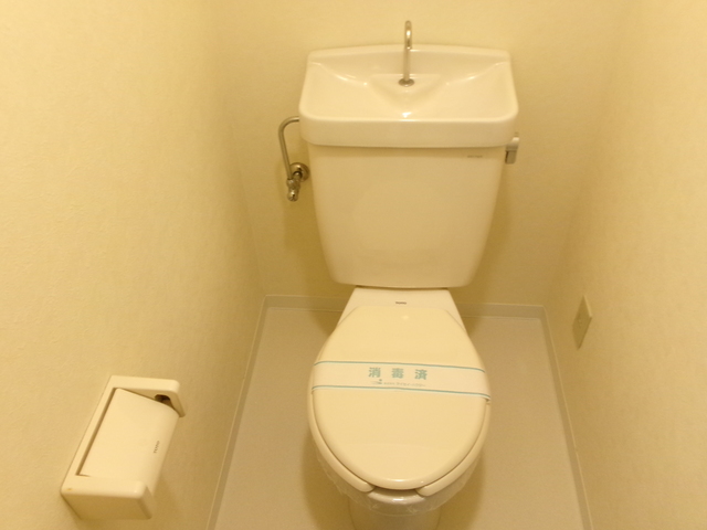 Ｂｉｇ　Ｔｈｒｏｕｇｈ0213号室 トイレ