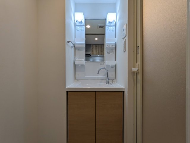 ハーモニーレジデンス蒲田アートヴィラ0310号室 洗面