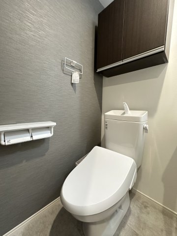 ベイルームヒルズ川崎305号室 トイレ