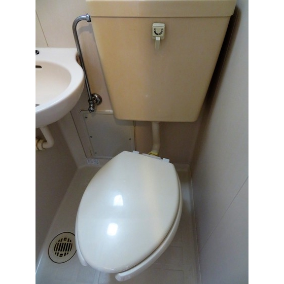 エレガンス綾瀬６0205号室 トイレ