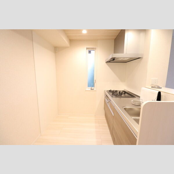 Lucky circle Hiyoshi (ラッキーサークルヒヨシ)202号室 キッチン