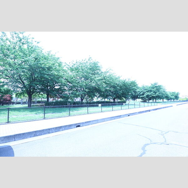 リヴェール 公園