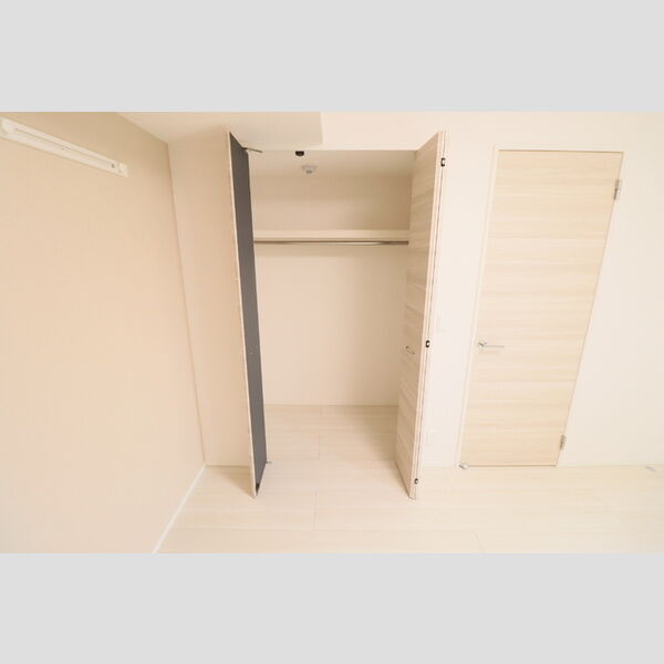 D Paina 中野島Ⅱ302号室 クローゼット