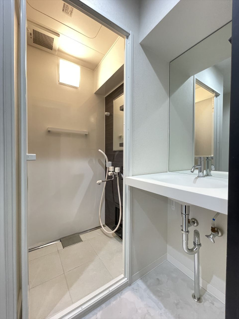 スカイコート東日本橋1001号室 洗面