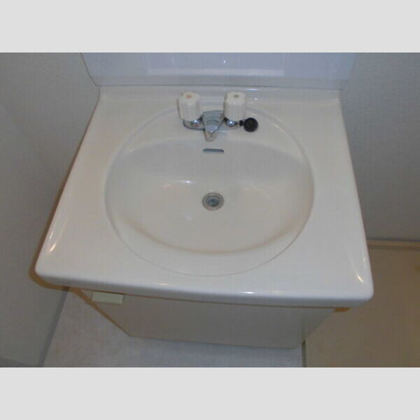 エステート根岸台107号室 洗面