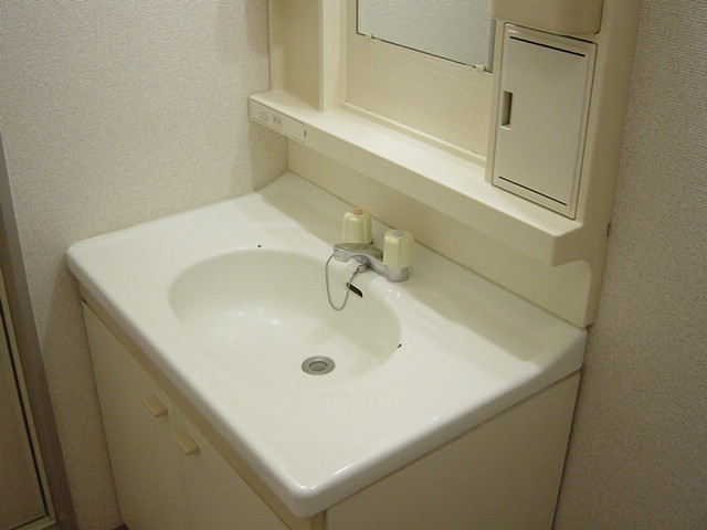 ドミールシャルマン 洗面（イメージ）