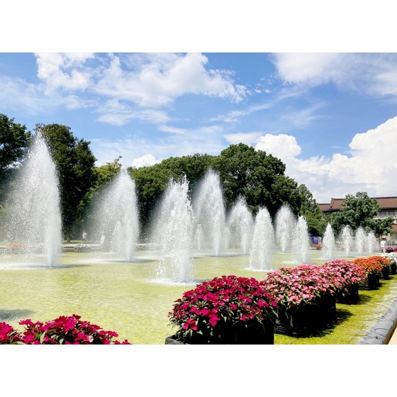 ベル・エポック1 周辺